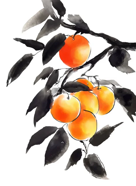 Cyfrowa Ilustracja Stylu Sumi Owoce Gałęzi Imitacja Chińskiego Lub Japońskiego — Zdjęcie stockowe