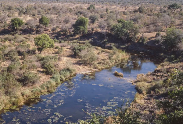 从南非克鲁格国家公园的N Wanetsi观景台俯瞰森林和Sweni河 — 图库照片
