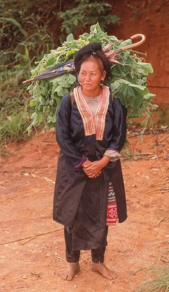 Chiang Mai Province Thailand April 2023 Eine Hmong Frau Trägt — Stockfoto