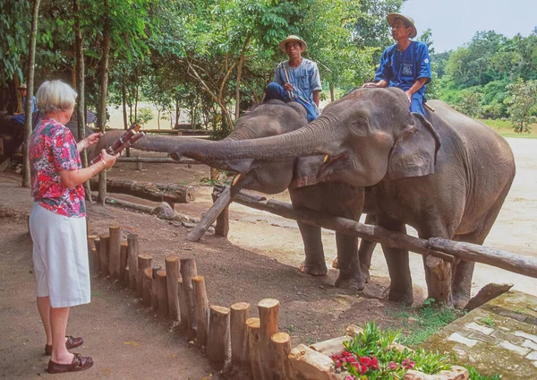 Lampang Thailand April 2023 Tourist National Elephant Institute Lampang Thailand — Stock Photo, Image
