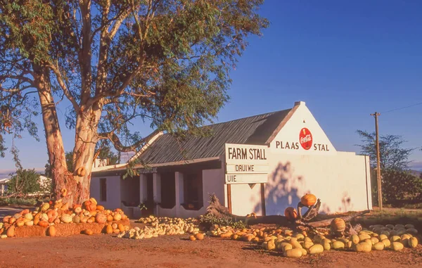 南アフリカ共和国 西ケープ州 エイプリル社2023年8月8日 南アフリカ共和国西ケープ州ウスター近郊でカボチャを販売するカラフルな農場屋台 — ストック写真