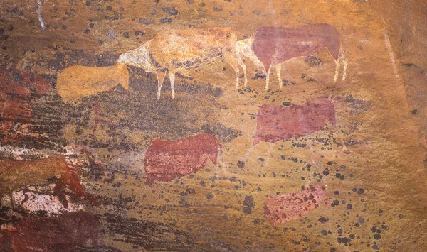 Prehistorické Umění San Rocku Velké Jeskyni Obří Zámecké Rezervaci Jednom Stock Fotografie