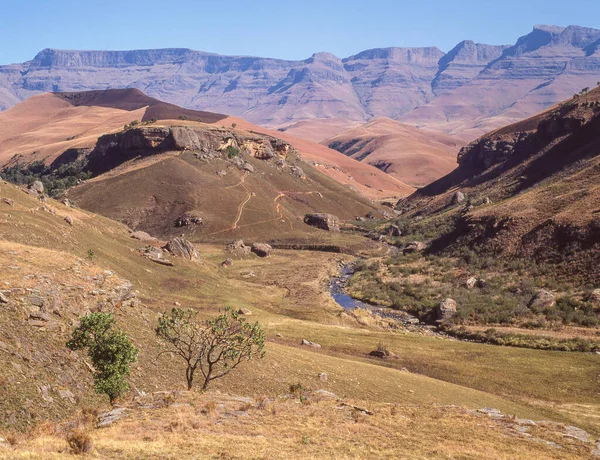 Rzeka Bushmans Przepływa Przez Rezerwat Gier Gigantów Terenie Parku Drakensberg — Zdjęcie stockowe