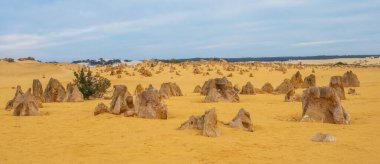 Pinnacle 'lar Batı Avustralya' nın Cervantes kasabası yakınlarındaki Nambung Ulusal Parkı 'ndaki kireçtaşı oluşumlarıdır..