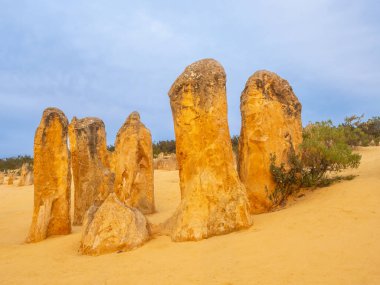 Pinnacle 'lar Batı Avustralya' nın Cervantes kasabası yakınlarındaki Nambung Ulusal Parkı 'ndaki kireçtaşı oluşumlarıdır..