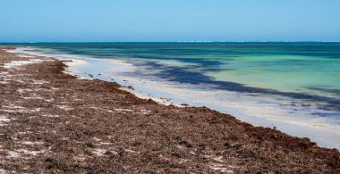 Nambung Natioonal Parkı 'ndaki Kanguru Noktası Batı Avustralya' nın Cervantes kentinin hemen güneyinde yer almaktadır..
