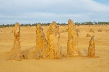 Pinnacle 'lar Batı Avustralya' nın Cervantes kasabası yakınlarındaki Nambung Ulusal Parkı 'ndaki kireçtaşı oluşumlarıdır..