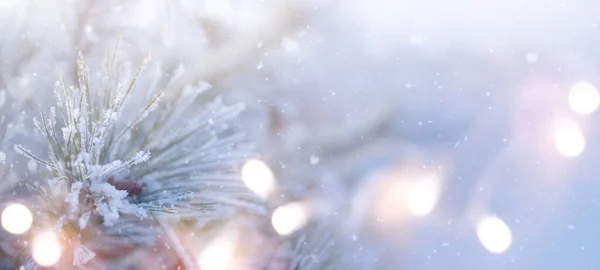 Weihnachten Schneebedeckte Tannenzweige Schließen Sich Winterweihnacht Und Winterkonzept Mit Kopierraum — Stockfoto