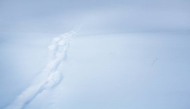 Kış çöl sahnesi. Kışın karda ayak izleri, akşam soğuk bir tarlada.