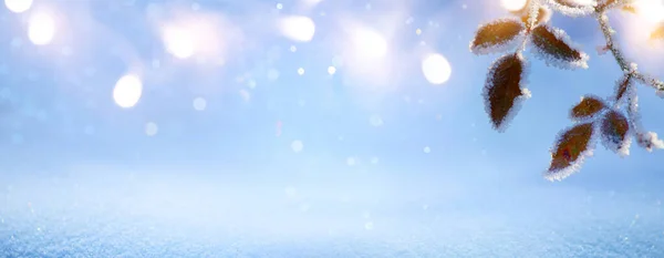Ледяной Зимний Пейзаж Снежном Лесу Рождественский Фон Рождественским Светом Веткой — стоковое фото