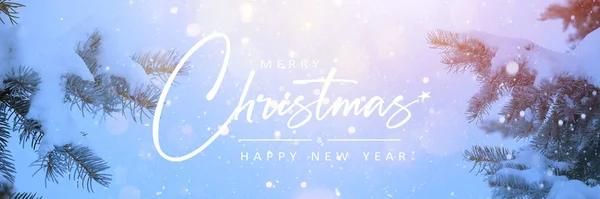 Sluiten Kerst Besneeuwde Dennenbomen Takken Kerstlicht Kerst Winterconcept — Stockfoto