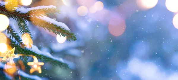 Közelkép Karácsonyi Havas Fenyő Ágak Karácsonyfa Fény Karácsonyi Téli Koncepció — Stock Fotó