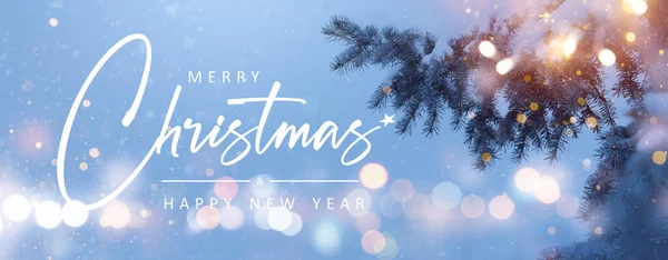 クリスマス冬の木や休日のガーランドライト 要約ぼやけたクリスマスの背景 ワイドスクリーンの背景 新年の冬のアートデザイン 広い画面の休日の境界線 — ストック写真