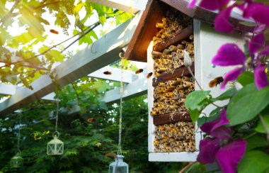 Ekolojik bahçe için bahar bakımı. Bahar çiçekli bahçe ve mason osmia arı evi