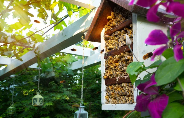 stock image spring care for the ecological garden. spring blooming garden and mason osmia bee house