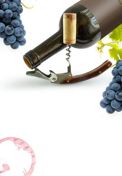 Bottles Wine Vintage Corkscrews Cork White Background Design Element Wine — Stok fotoğraf