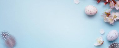 Easter banner background with Easter eggs and spring flowers. Top view with copy spac