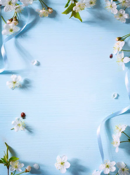 Mavi Arkaplanda Bahar Çiçeği Kenarı Beyaz Bahar Çiçeği Kenarı — Stok fotoğraf
