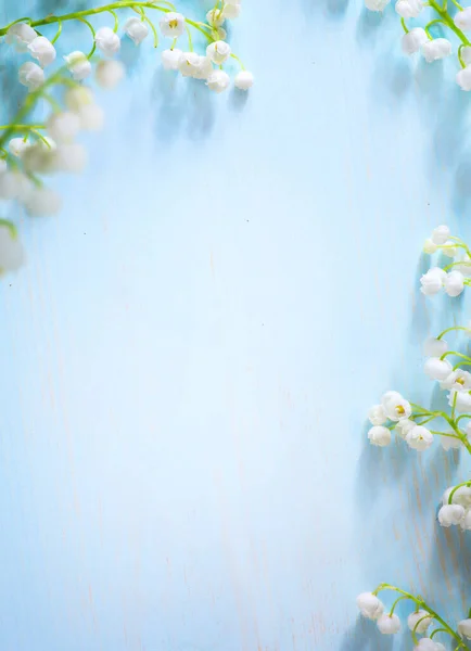 Borde Flor Primavera Sobre Fondo Azul Borde Blanco Flor Primavera —  Fotos de Stock