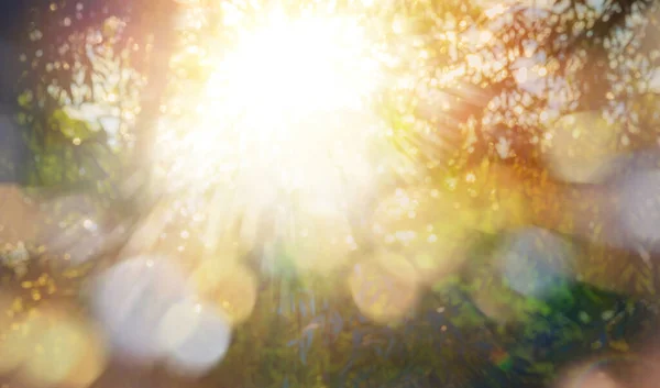 Abstrato Luz Ensolarada Brilhante Primavera Turva Verão Natureza Fundo — Fotografia de Stock