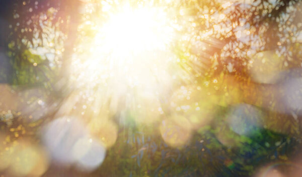Abstract Bright sunny light Blurred Spring or Summer Nature Background