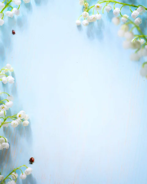 Spring flower border on blue background; white spring blossom border; copy spac