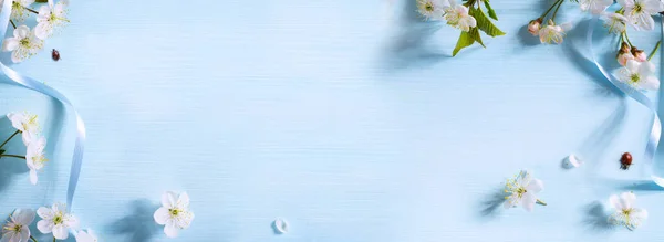 Bordo Fiore Primavera Sfondo Blu Bordo Fiore Primavera Bianco Cornice — Foto Stock