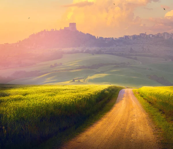 Italian Tuscany Countryside Panorama Summer Green Field Dirt Road Cloudy — Stock Photo, Image