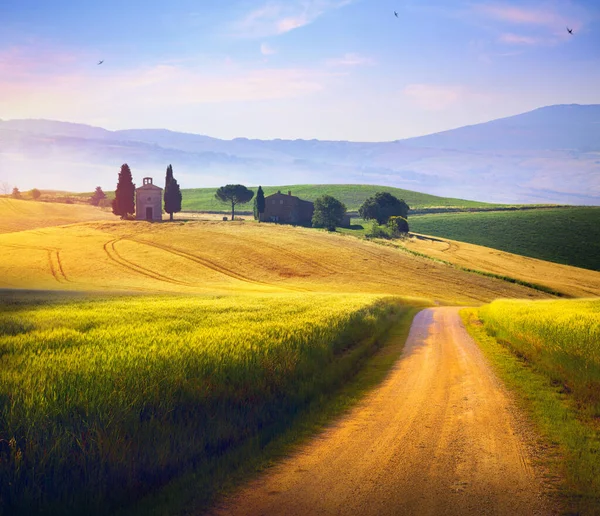 イタリアトスカーナ地方未舗装の道路と曇りの青い空と夏の緑のフィールドのパノラマ 美しいイタリアの夏の田園風景 — ストック写真