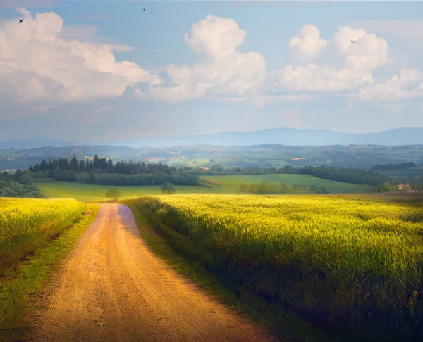 Toprak Yolu Bulutlu Mavi Gökyüzü Olan Yaz Yeşili Tarlalı Talyan — Stok fotoğraf