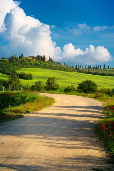Piękny Włoski Letni Krajobraz Wiejski Krajobraz Wiejski Panorama Letniego Zielonego — Zdjęcie stockowe