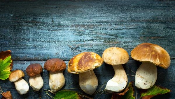 Cogumelos Porcini Frescos Estação Verão Outono Cogumelos Cep Uma Mesa — Fotografia de Stock