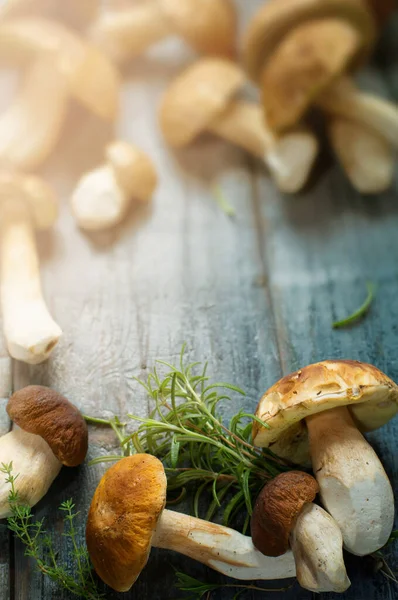 夏季或秋季新鲜的香菇 木桌上的香菇和香料 意大利菜谱 — 图库照片
