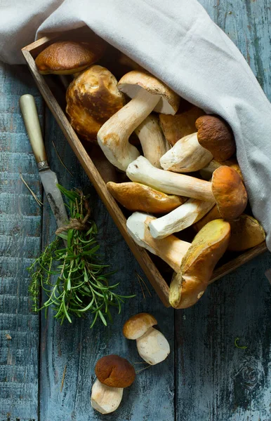 夏天或秋天用新鲜的香菇做的篮子 木桌上的香菇和香料 意大利大白菜 — 图库照片