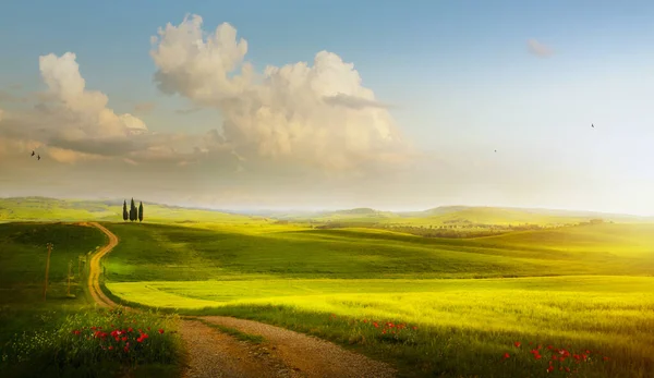 Beautiful Miraculous Colors Green Spring Panorama Countryside Landscape — Stock Photo, Image