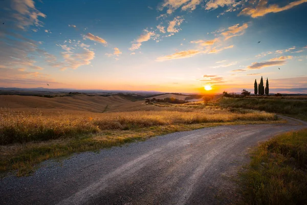 Beautiful Miraculous Colors Italy Golden Summer Panorama Countryside Sunset Landscap — Stock Photo, Image