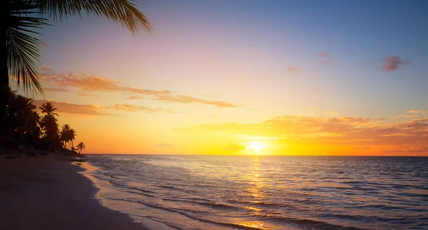 Kunst Schöner Sonnenaufgang Über Dem Tropischen Sandstrand Sommerurlaub Banner Design — Stockfoto