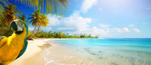 Tropikal Deniz Kumlu Sahilde Yaz Tatili Kopyalanmış Spac Ile Pankart — Stok fotoğraf