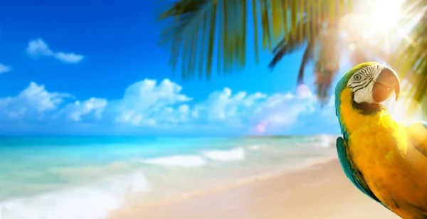 여름철에는 모래사장에서 휴가를 보내며 복제품 삽으로 현수막 디자인 — 스톡 사진