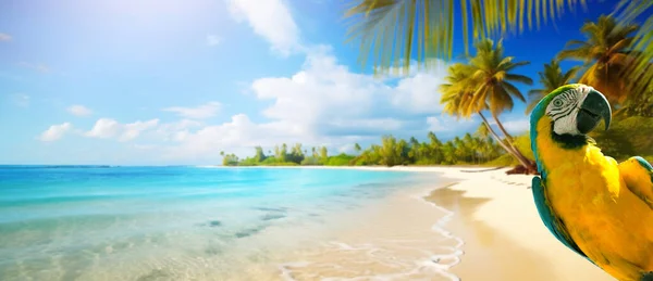 熱帯の砂浜での夏休みコピースパック付きバナーデザイン — ストック写真
