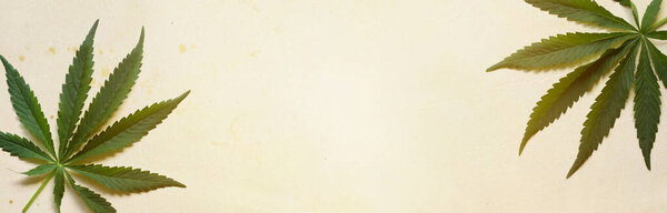 Заводы марихуаны в стиле арт-баннер на старом папере 