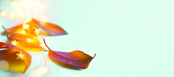추수감사절 디자인 나뭇잎 축제의 — 스톡 사진