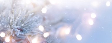 Karlı Noel ağacı dalları kapanıyor. Fotokopi alanı ile kış ve kış konsepti