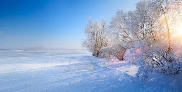 Zimowy Krajobraz Frozen Jezioro Śnieg Drzewa Zdjęcie Stockowe