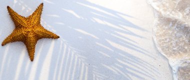 Kumlu sahil yüzeyindeki tropik yaprak gölgesinin en üst görüntüsü. Palmiye yapraklarının gölgesi beyaz kumsalda. Plajda yaz tatili için güzel soyut arka plan konsept afişi. 