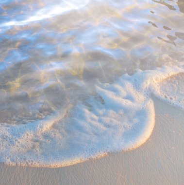 Su dalgası; güzel tropikal yaz tatili güneşli kumlu sahil manzarası