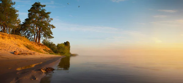美しい夏の川の風景 平和な朝が夜明けに ロイヤリティフリーのストック画像