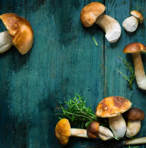 stock image summer or autumn season background with Mushrooms cep; fresh wild mushrooms and knife on grey wooden tabl