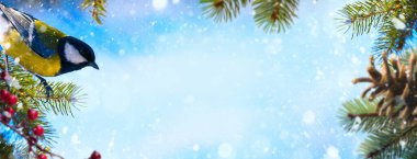 Christmas  greeting card banner design with tit on the Christmas tree branches in winter forest