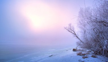 Winter landscape: frozen river bank covered with snow at sunrise. Panoramic photo with pink reflection of light on the ice surface. for winter postcards, calendars and travel projects design clipart